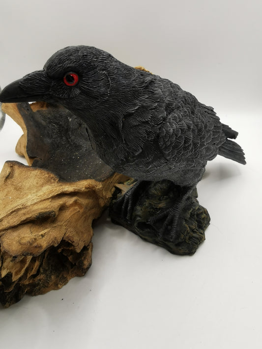 Crow