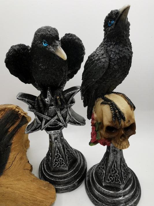 Raven on Skull and Triple Moon