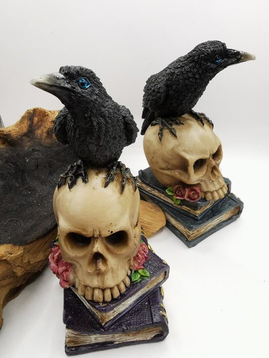 Raven on Skull and Books