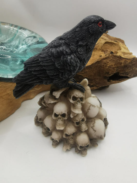 Crow on Skull Pile