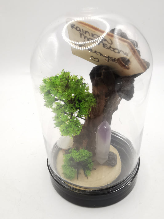 Rainbow Moonstone & Amethyst Crystal Terrarium