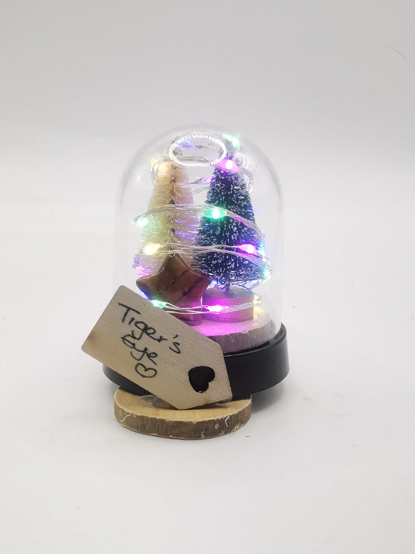 Tiger’s Eye Star Domed Terrarium with Lights