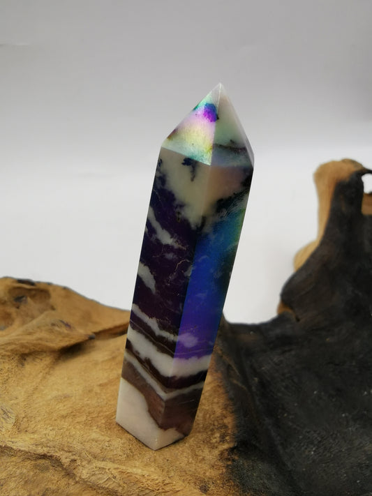 Zebra Aura Point G