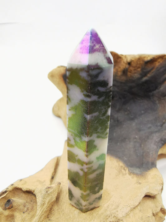 Zebra Aura Point H