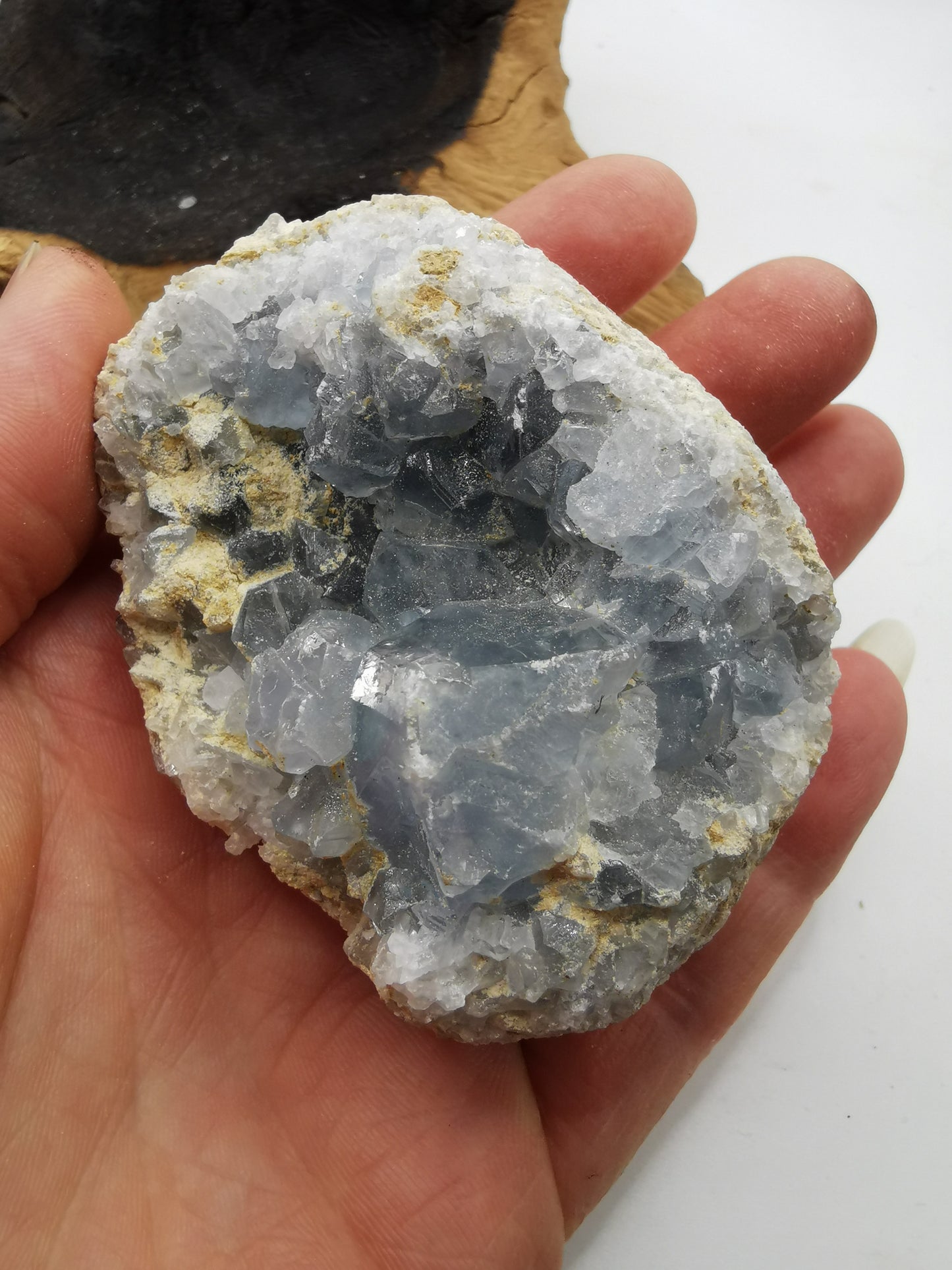 Celestine C