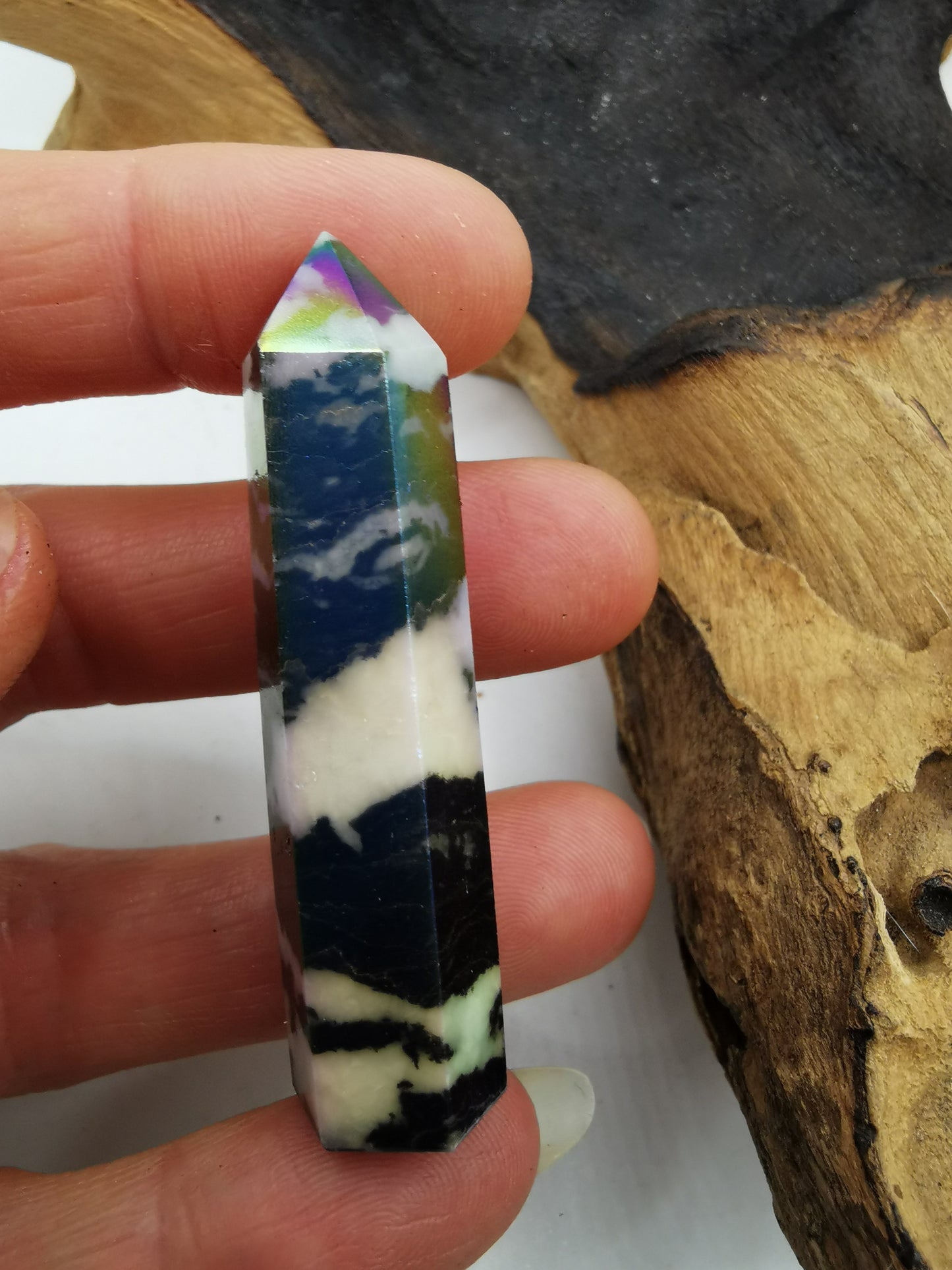 Zebra Aura Point L
