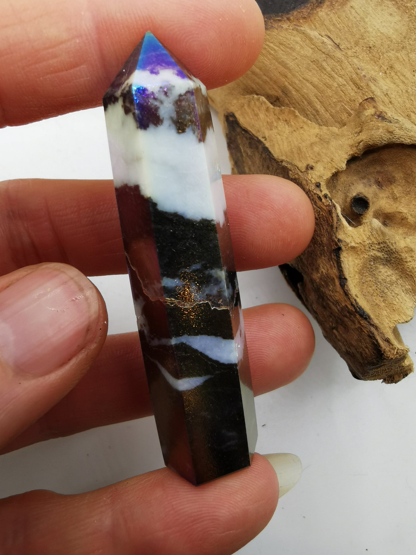 Zebra Aura Point M