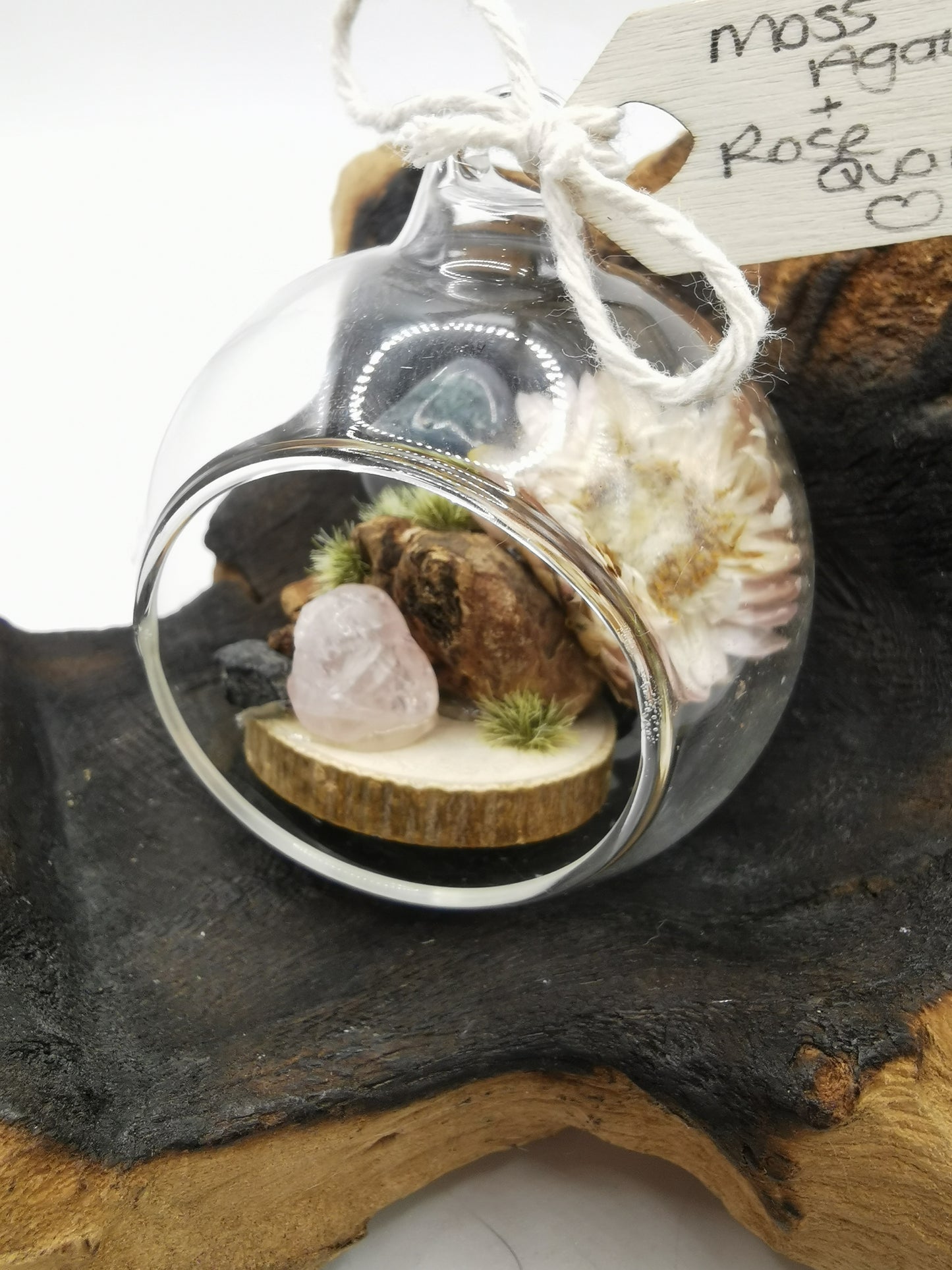 Moss Agate & Rose Quartz Crystal Hanging Terrarium