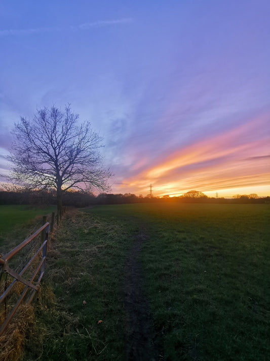 Chasing the Sunset: A Perfect End to Saturday