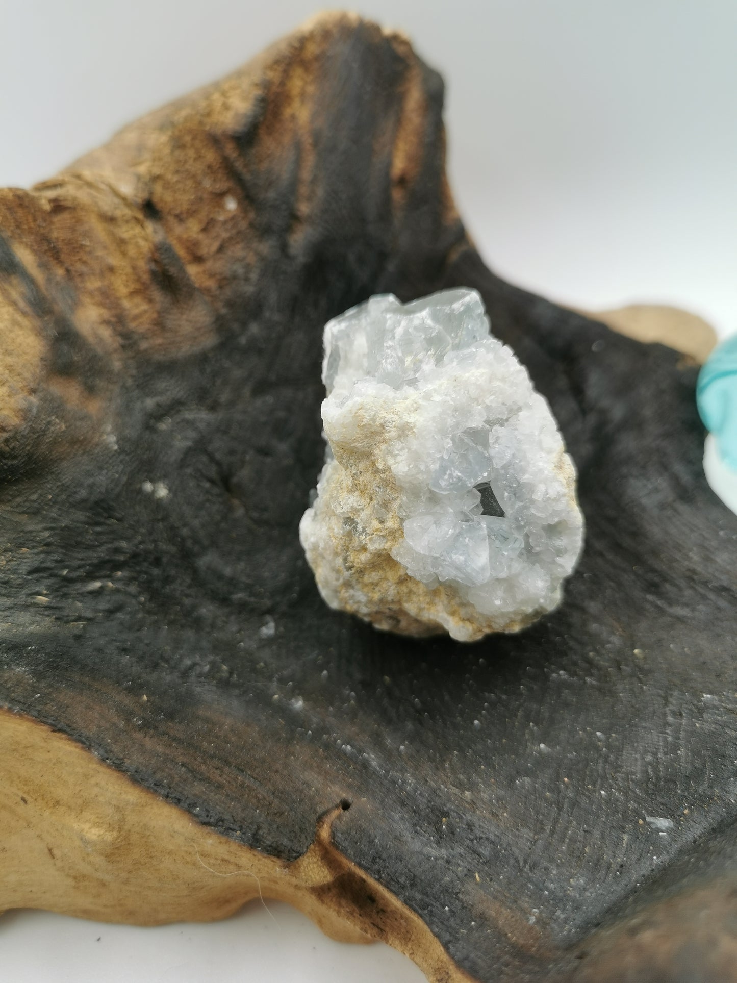 Celestine C
