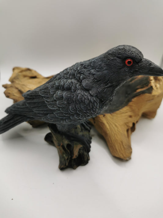 Crow