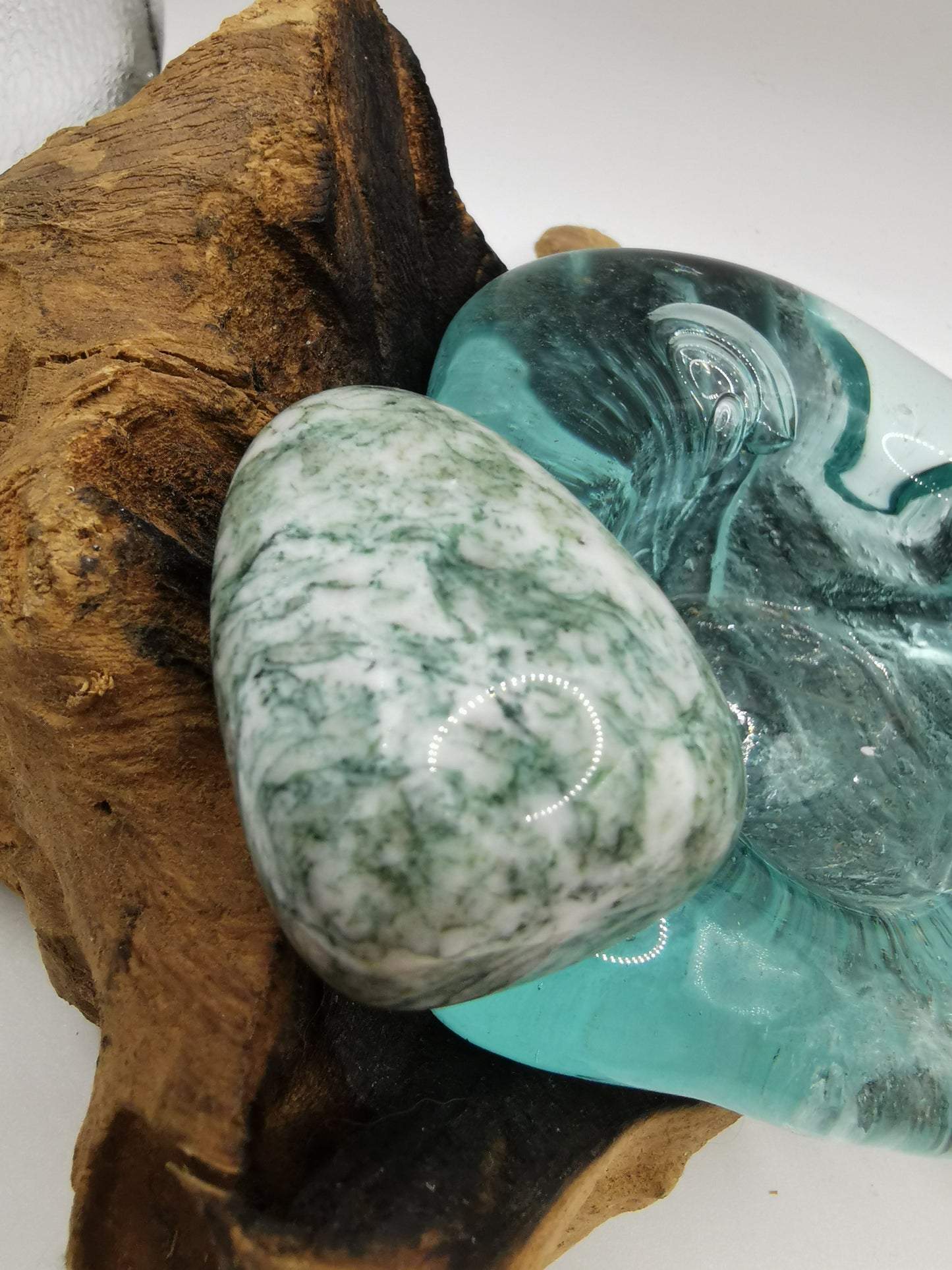 Tree Agate D