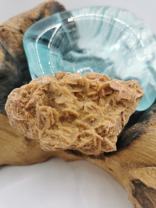 Desert Rose D