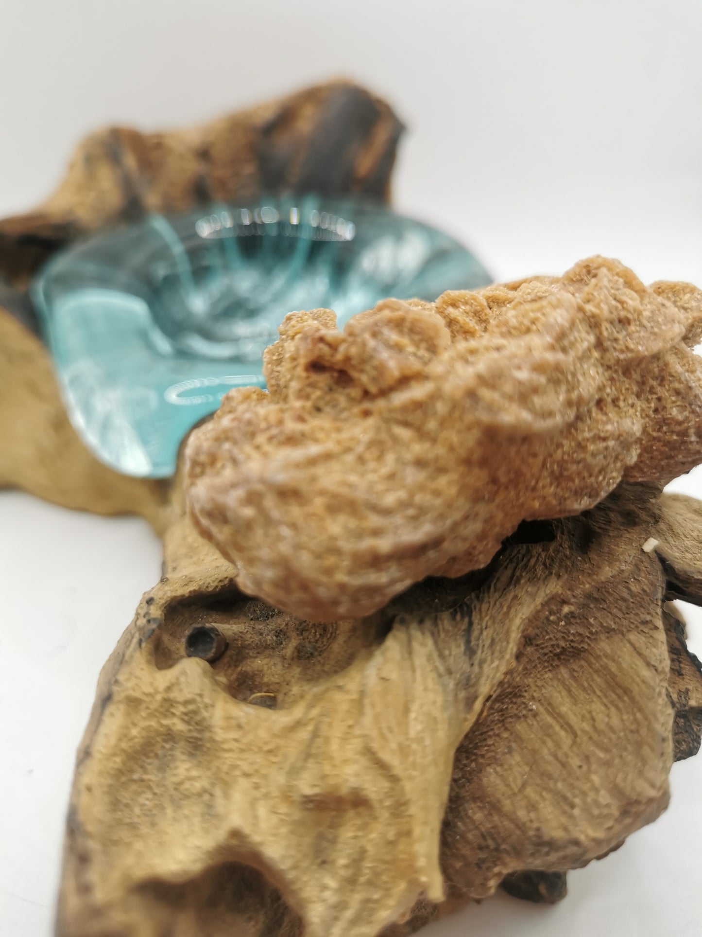 Desert Rose D