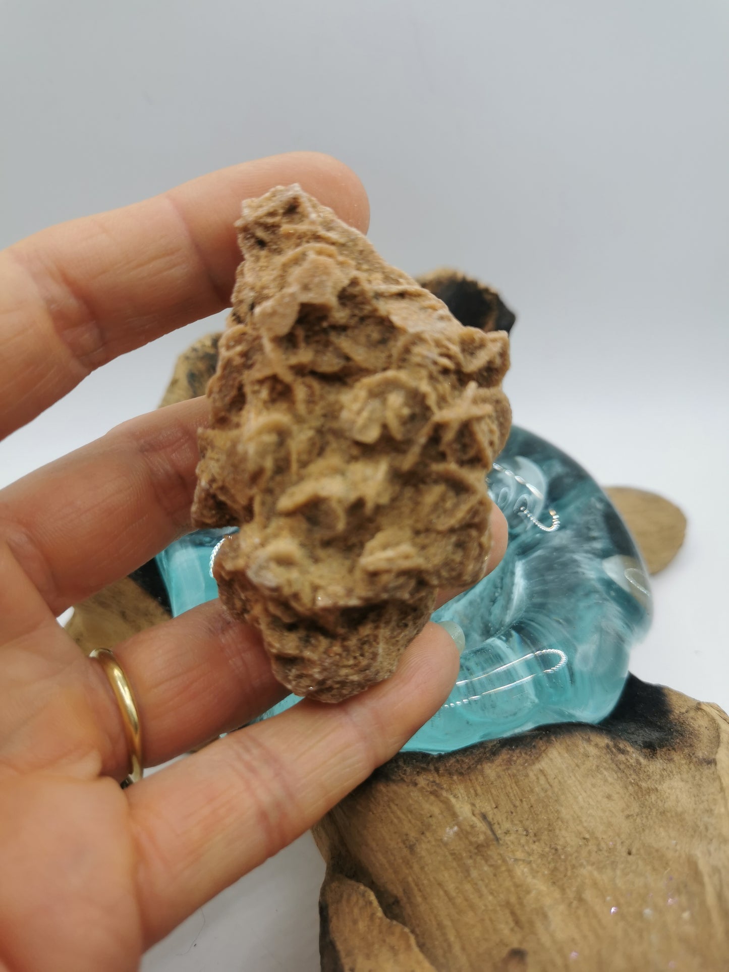 Desert Rose D
