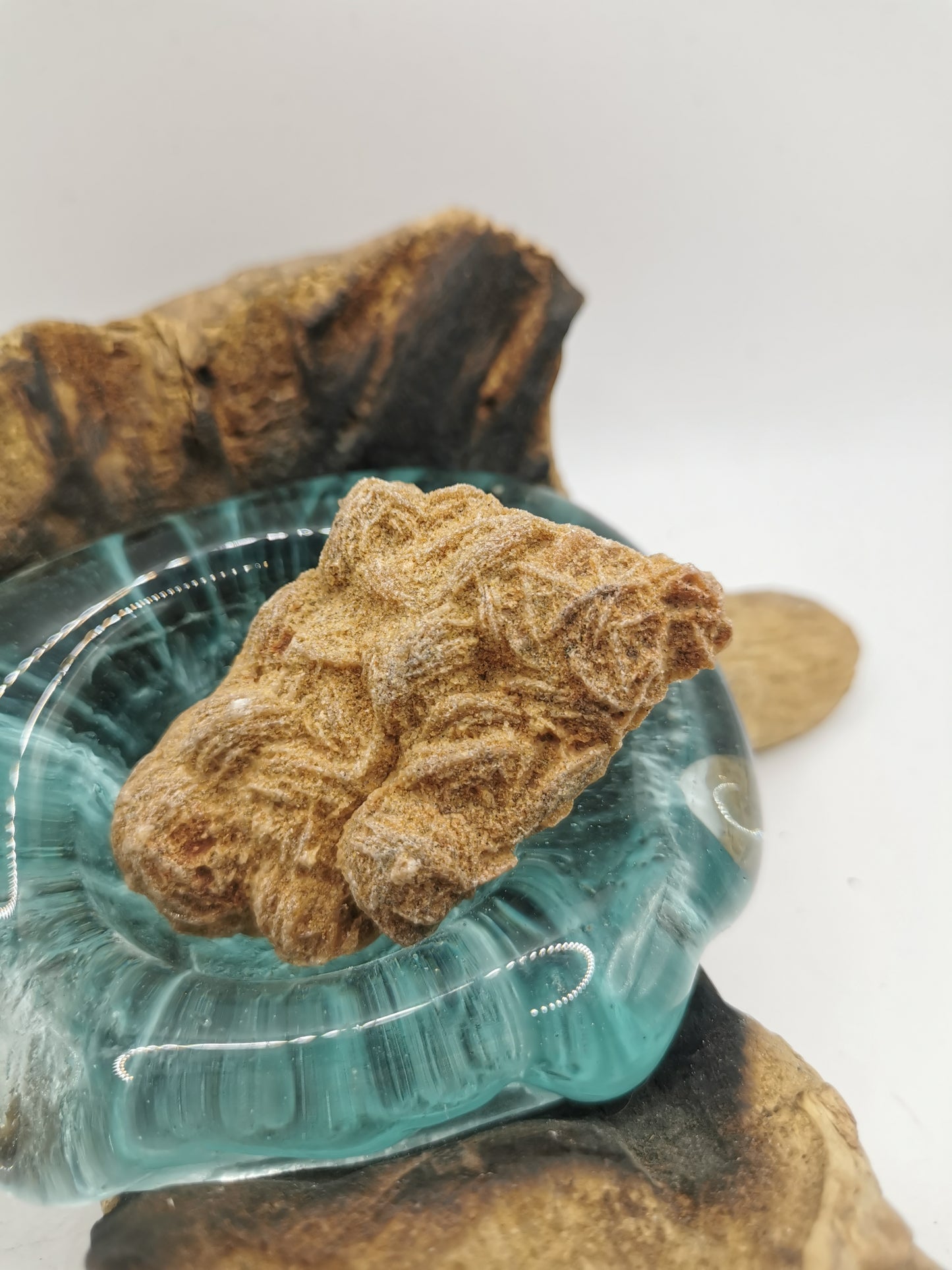 Desert Rose D