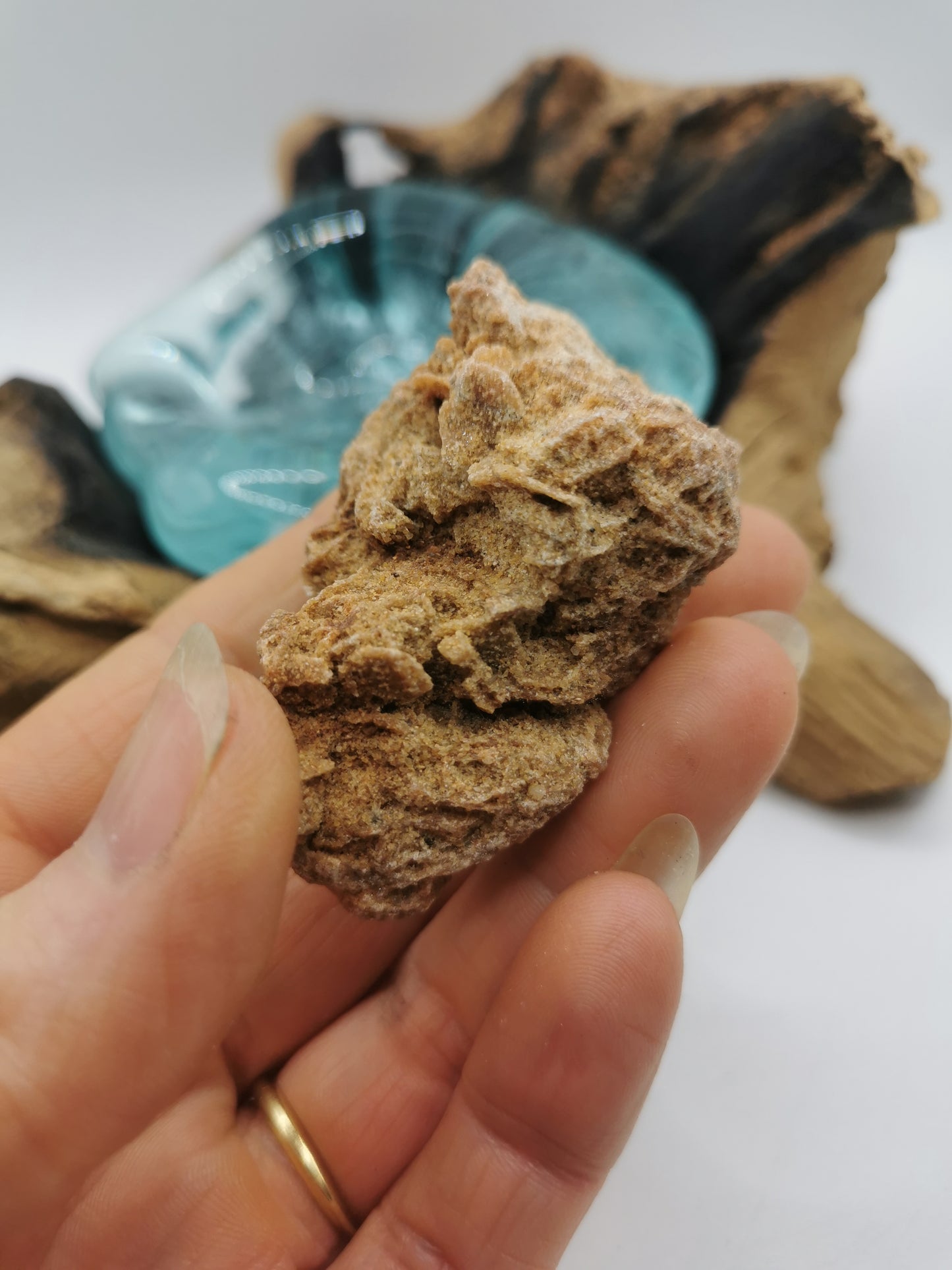 Desert Rose C