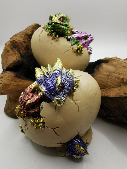 Hatching Dragons