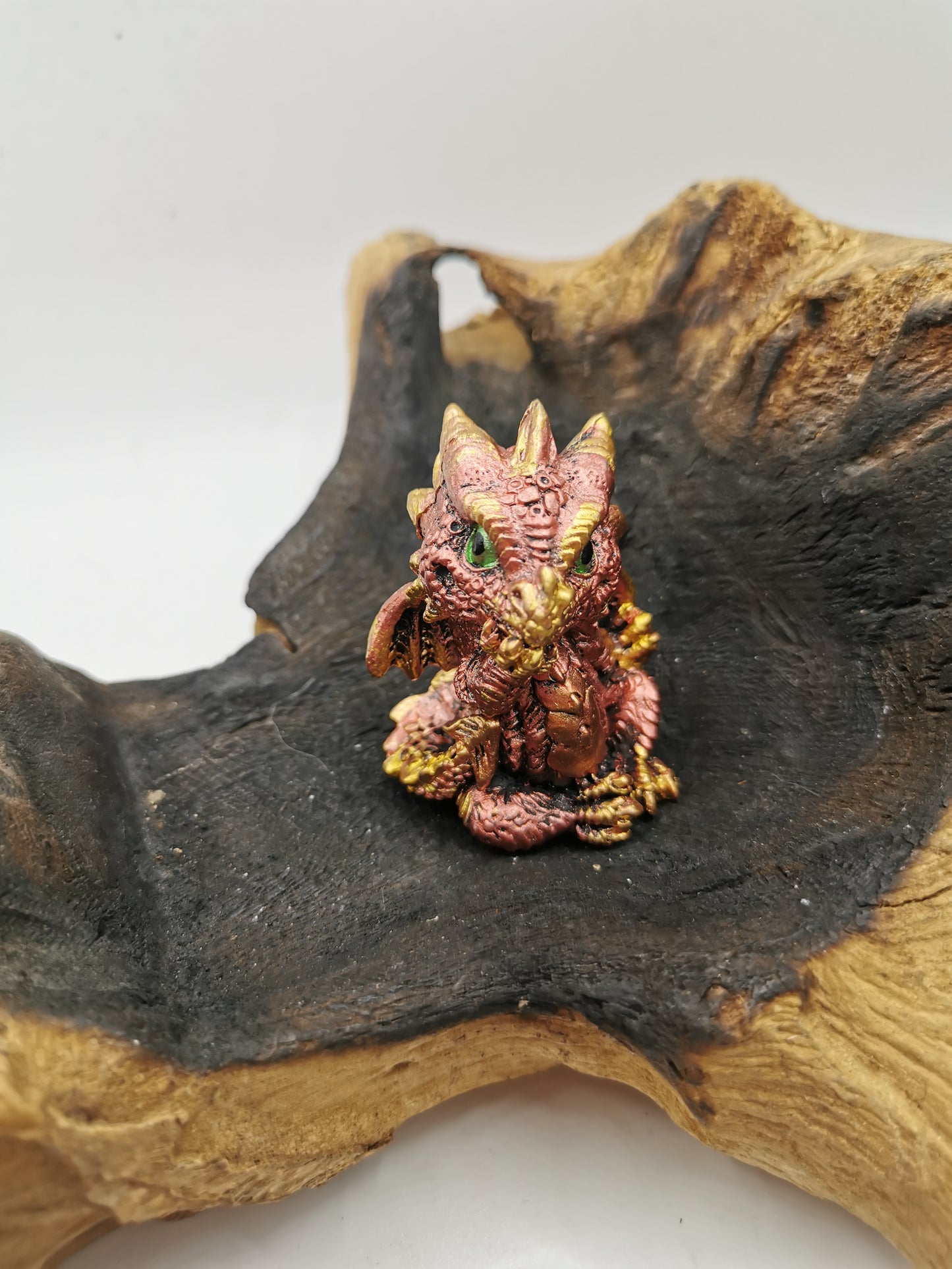Baby Dragons