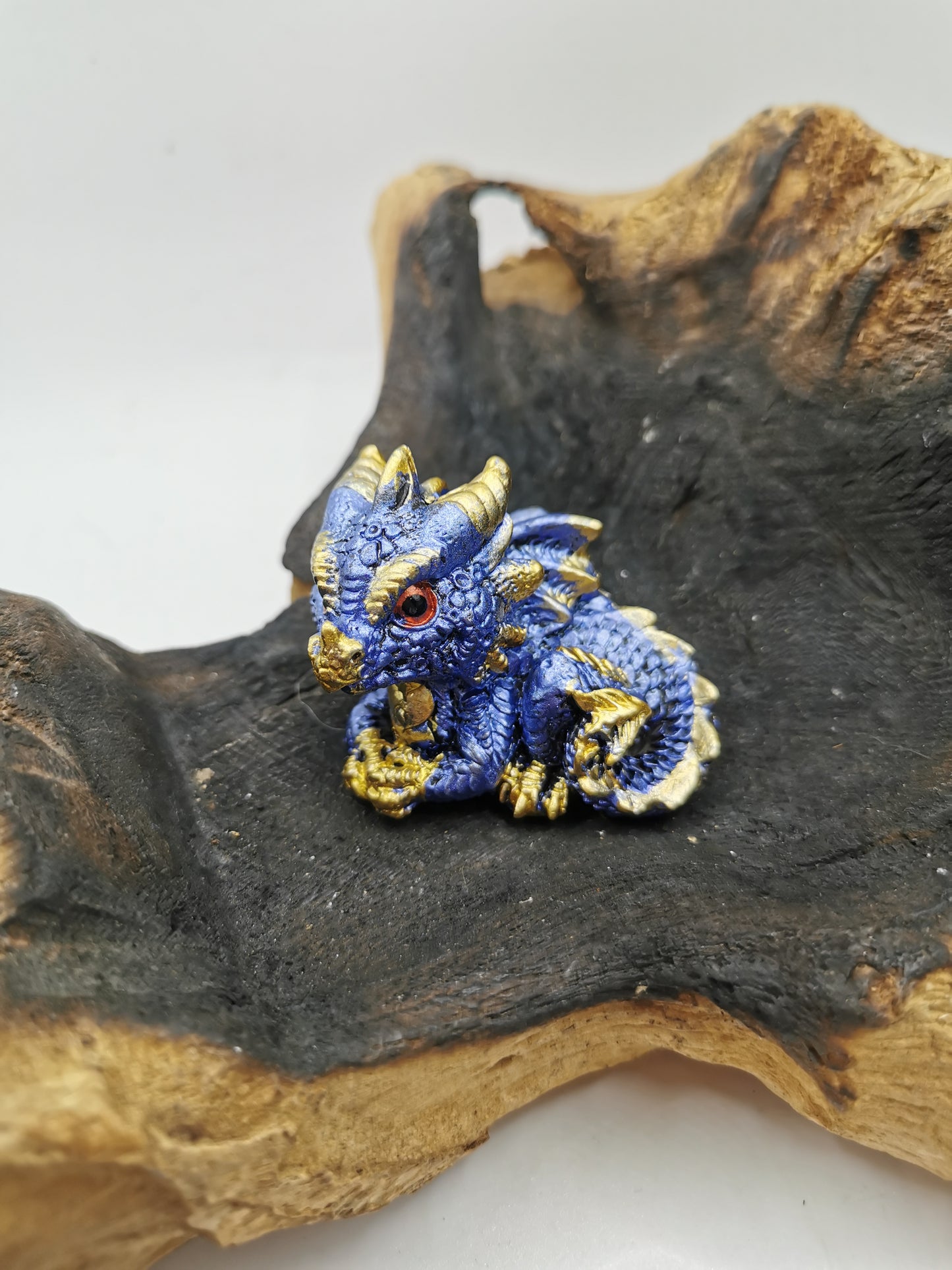 Baby Dragons