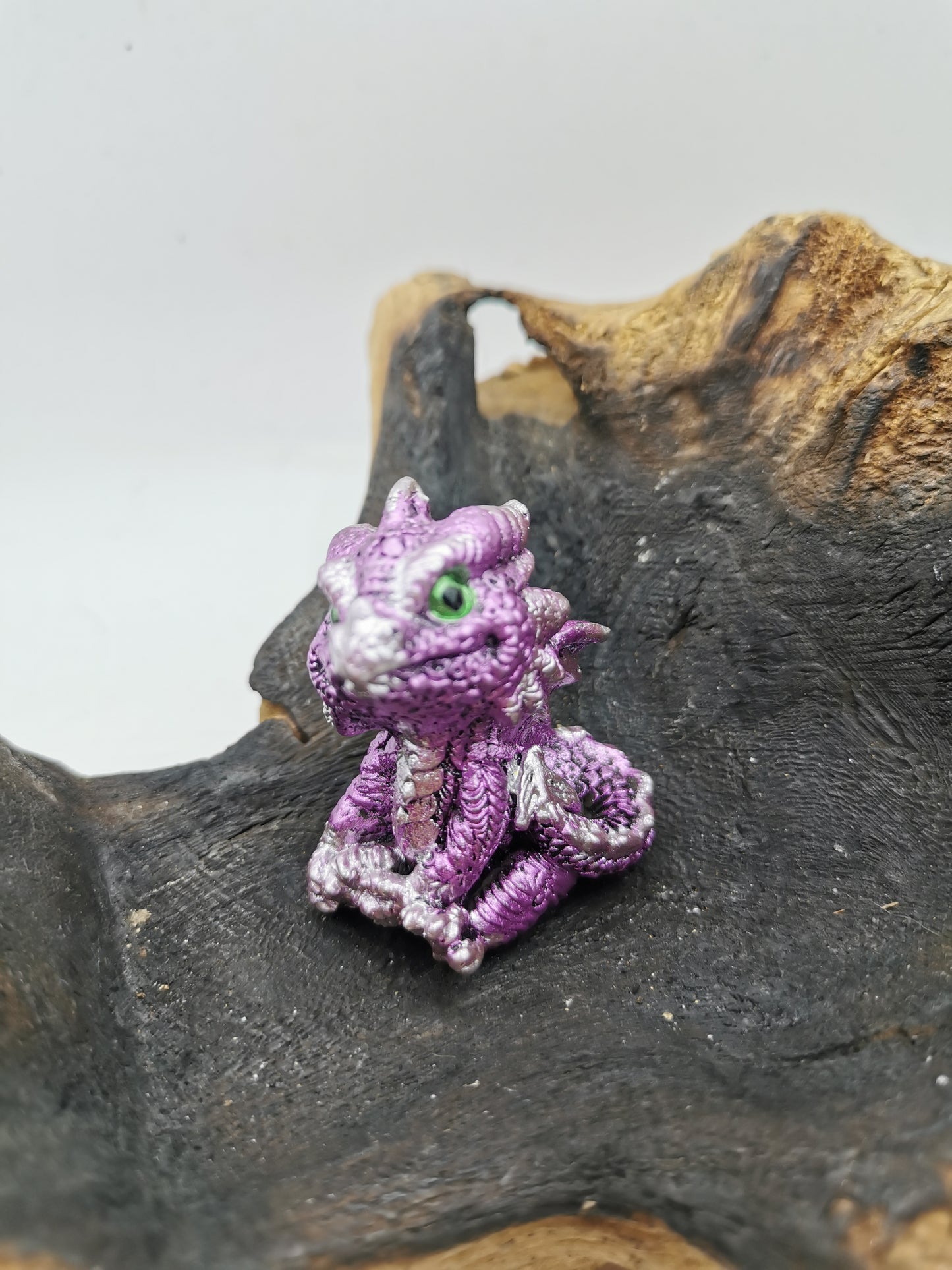 Baby Dragons