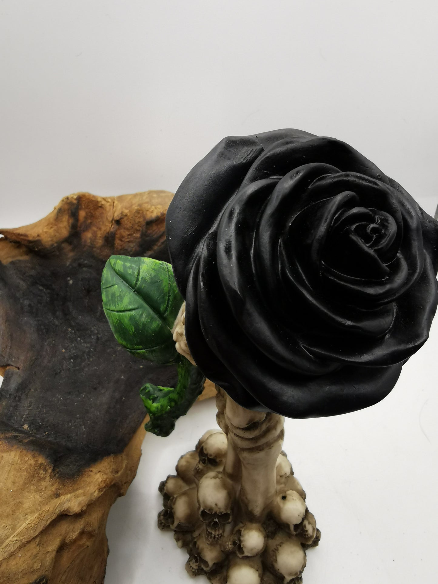 Black Rose