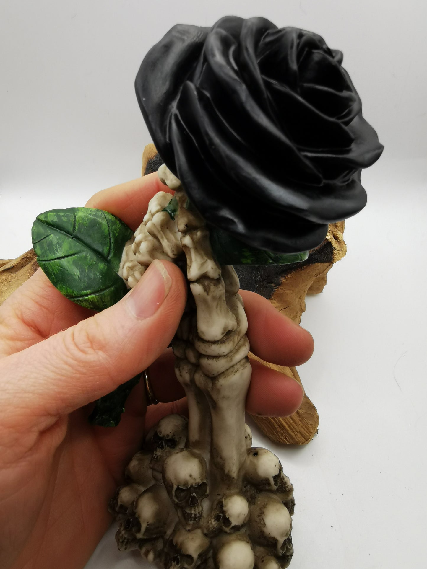 Black Rose