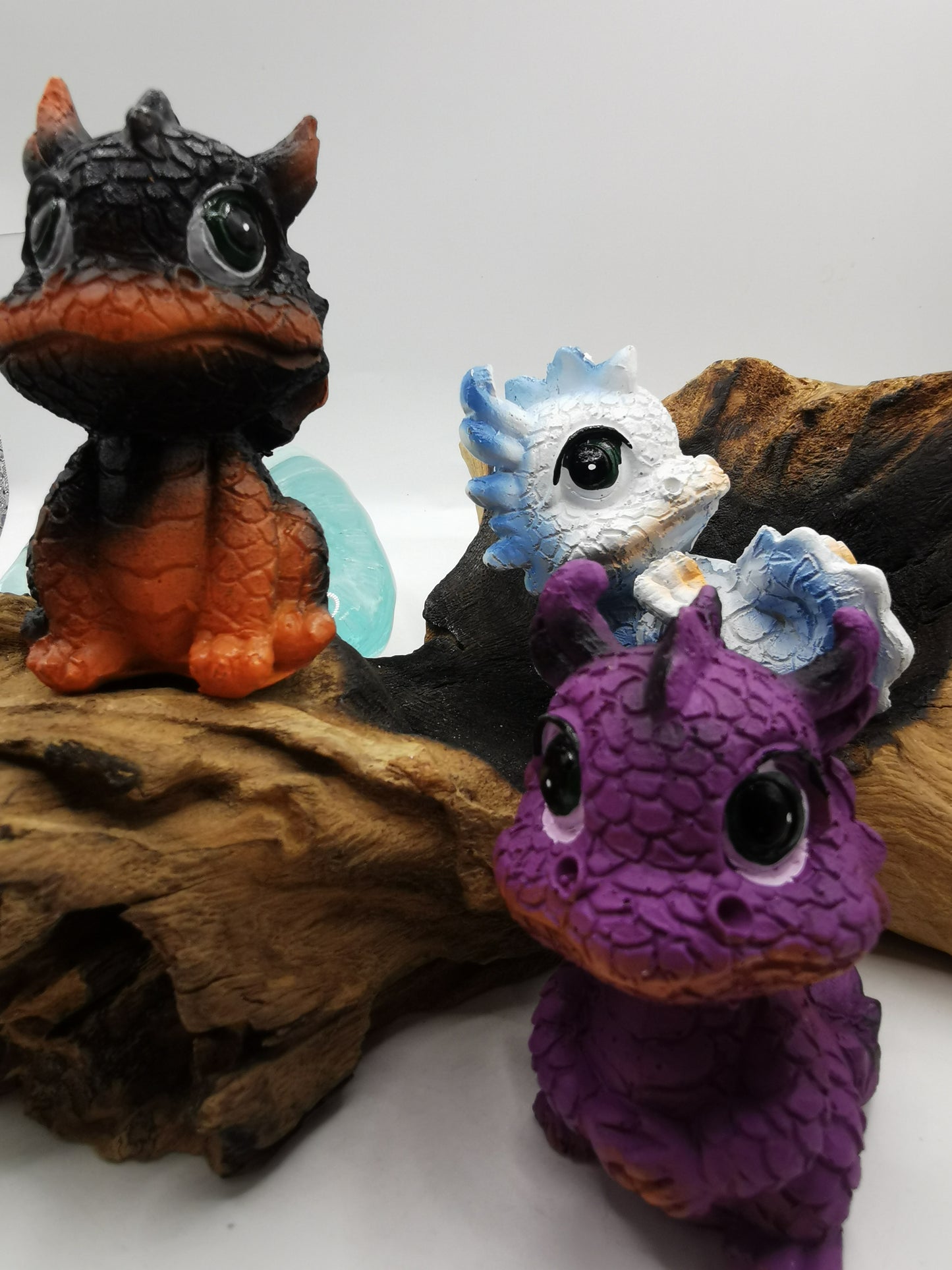 Dragons