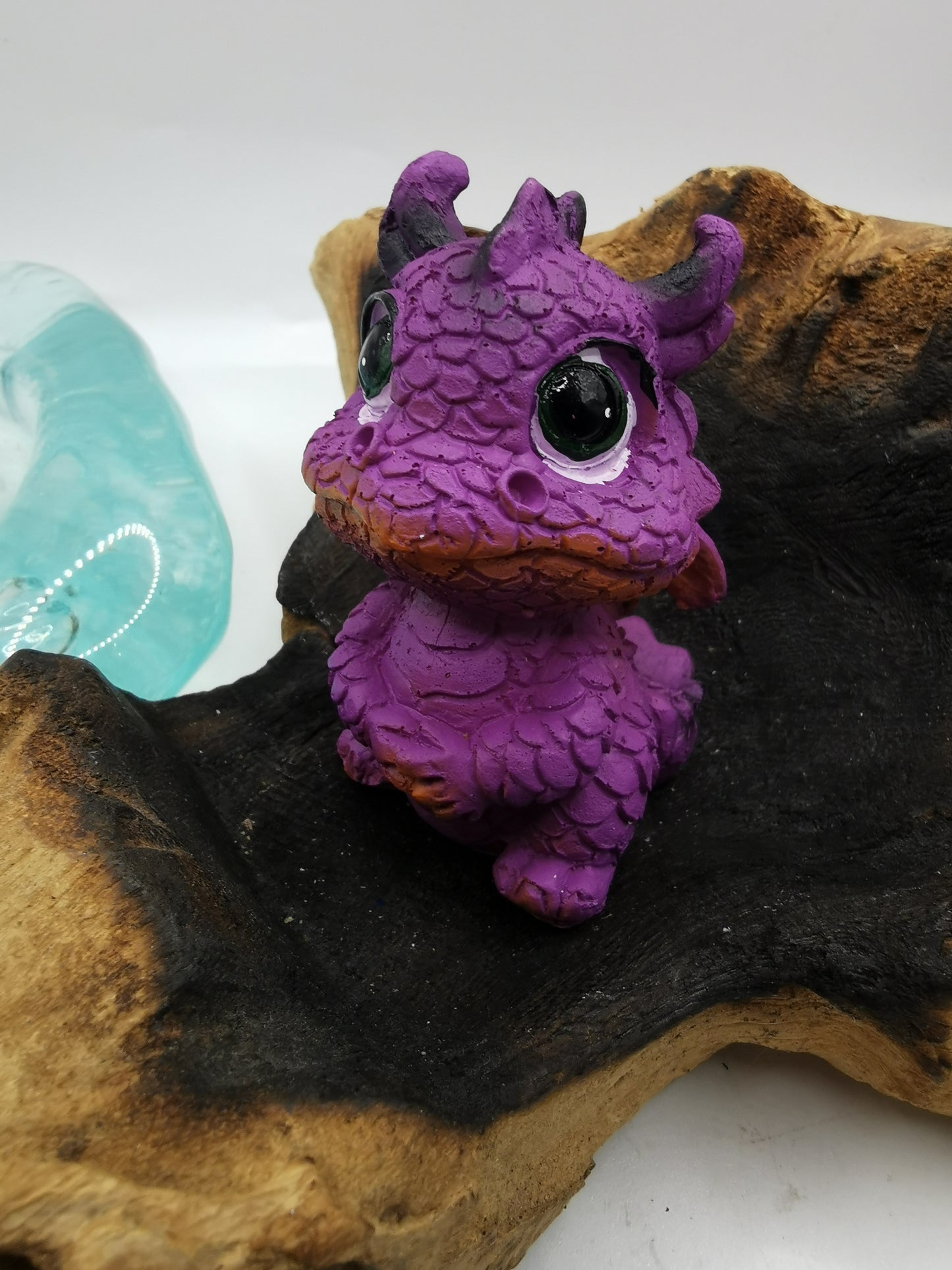 Dragons