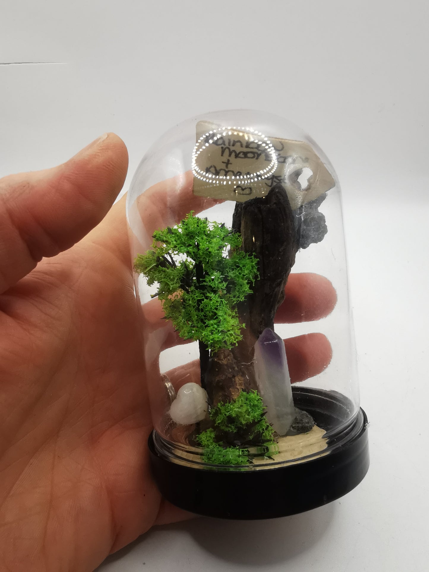 Rainbow Moonstone & Amethyst Crystal Terrarium