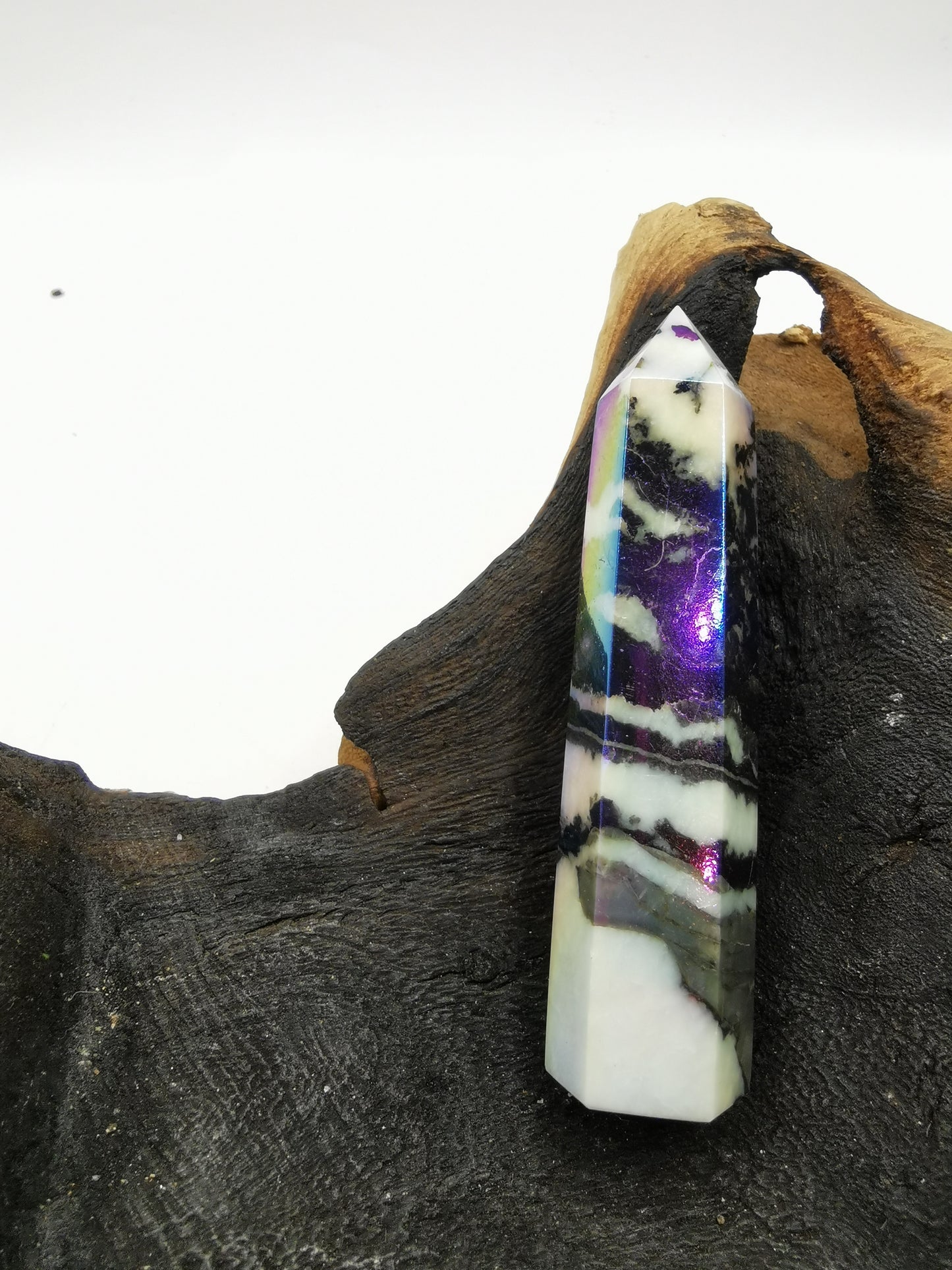 Zebra Aura Point G