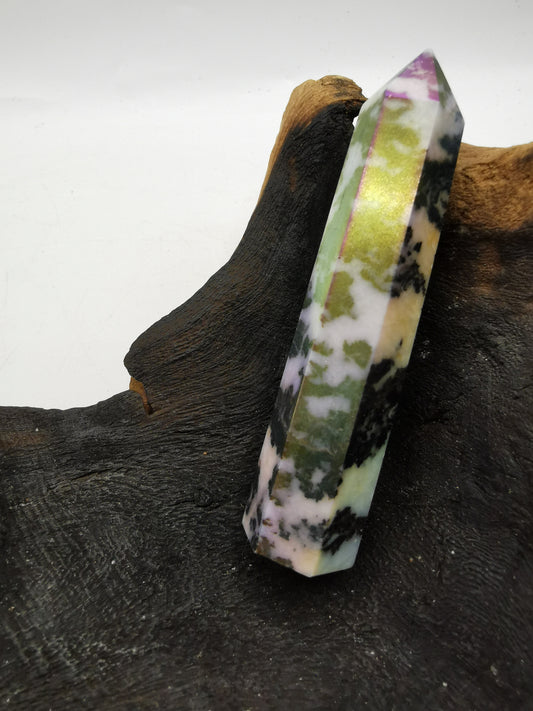 Zebra Aura Point H