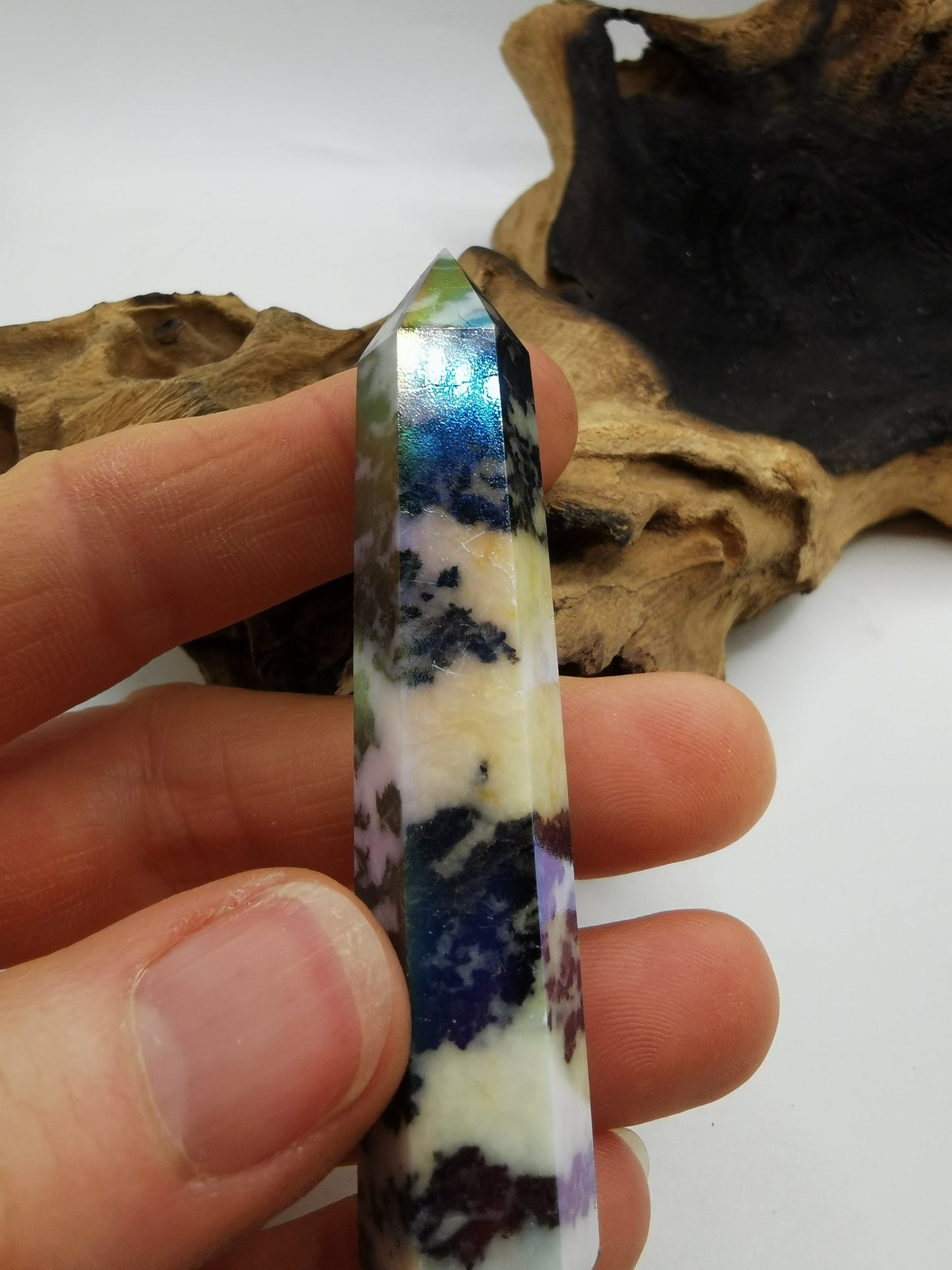 Zebra Aura Point H