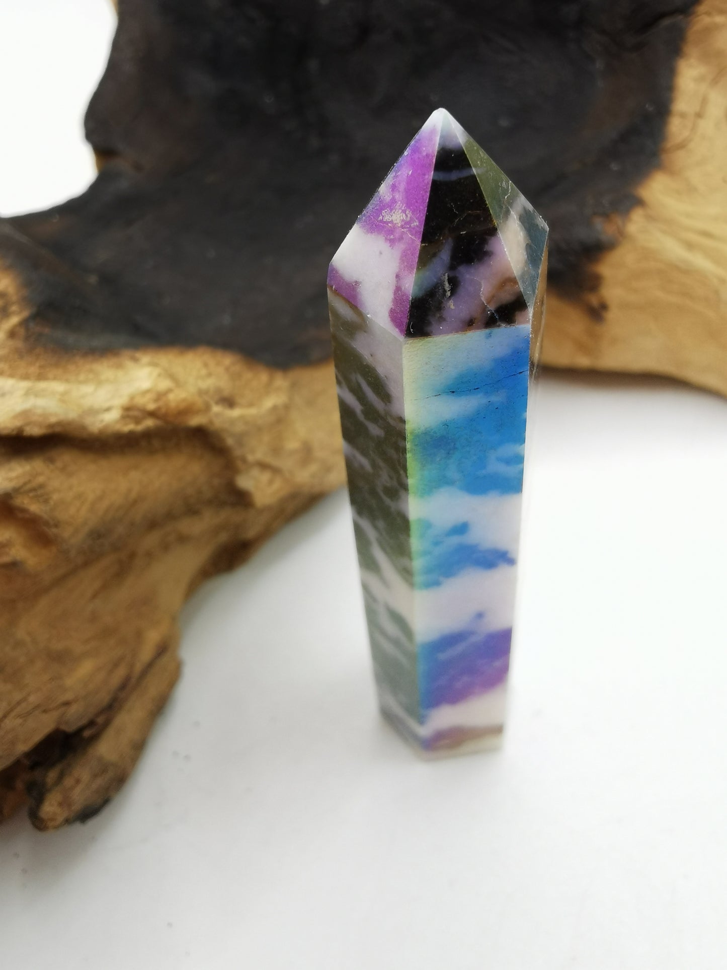 Zebra Aura Point H