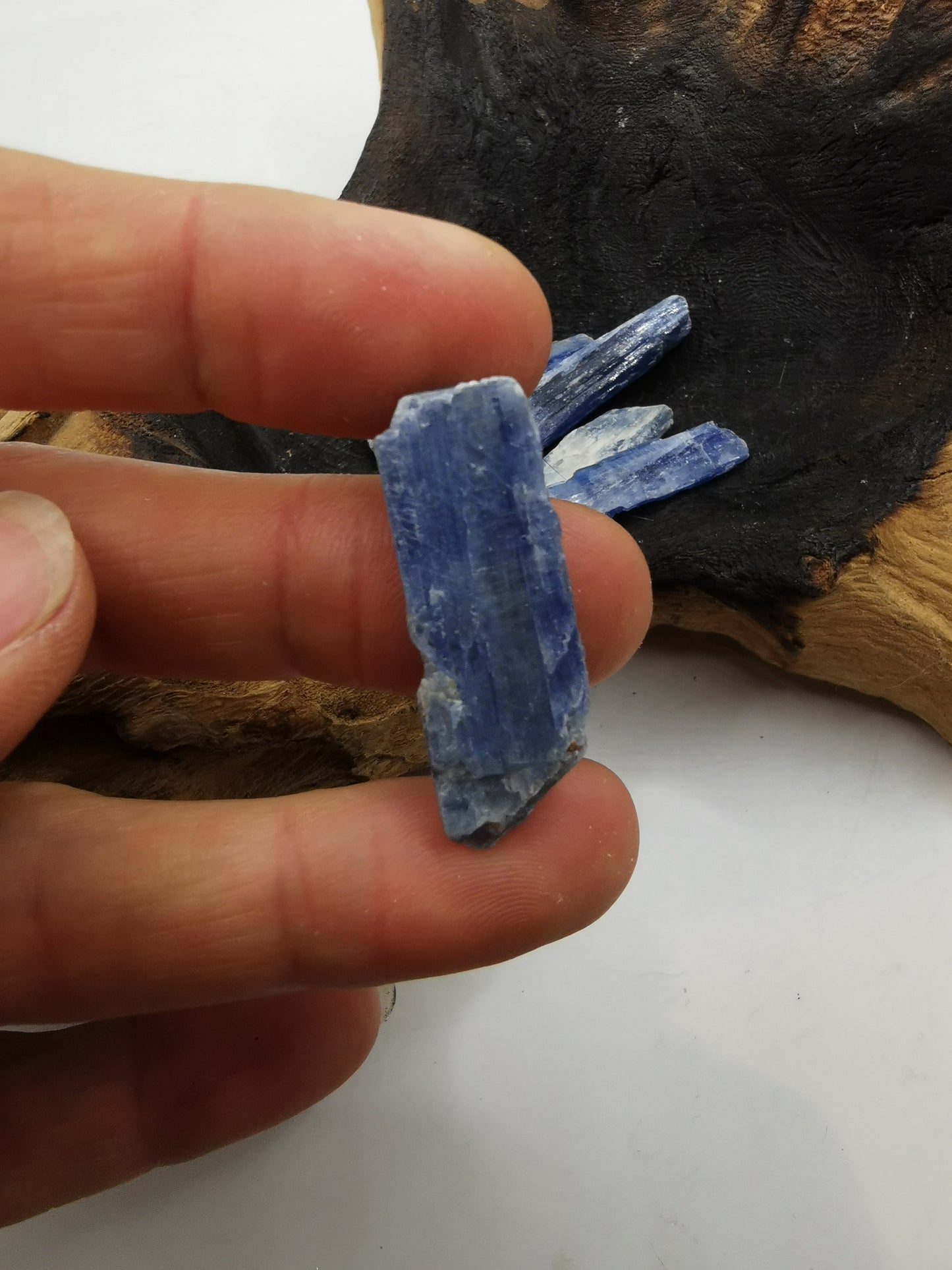 Blue Kyanite