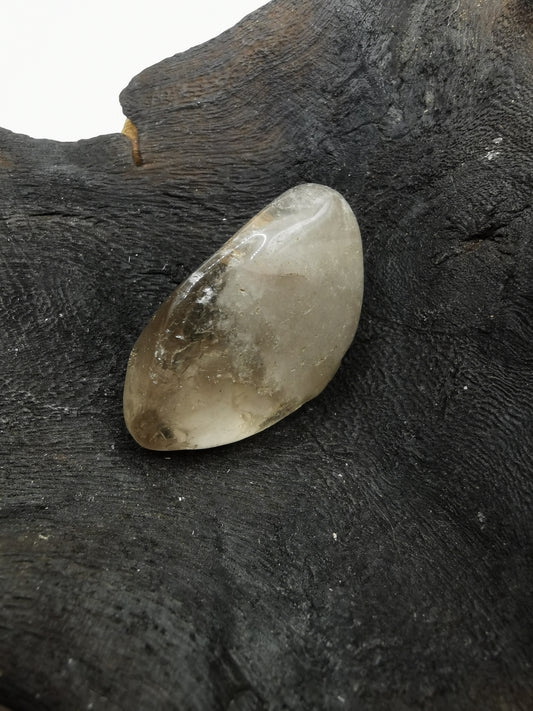 Dendritic Opal Tumble