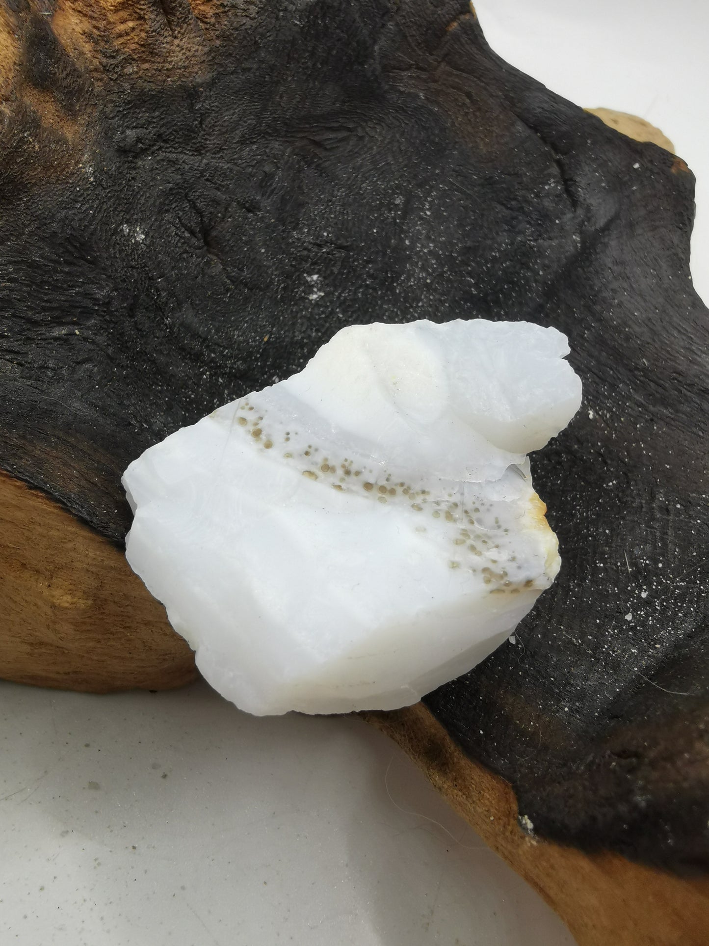 Opal