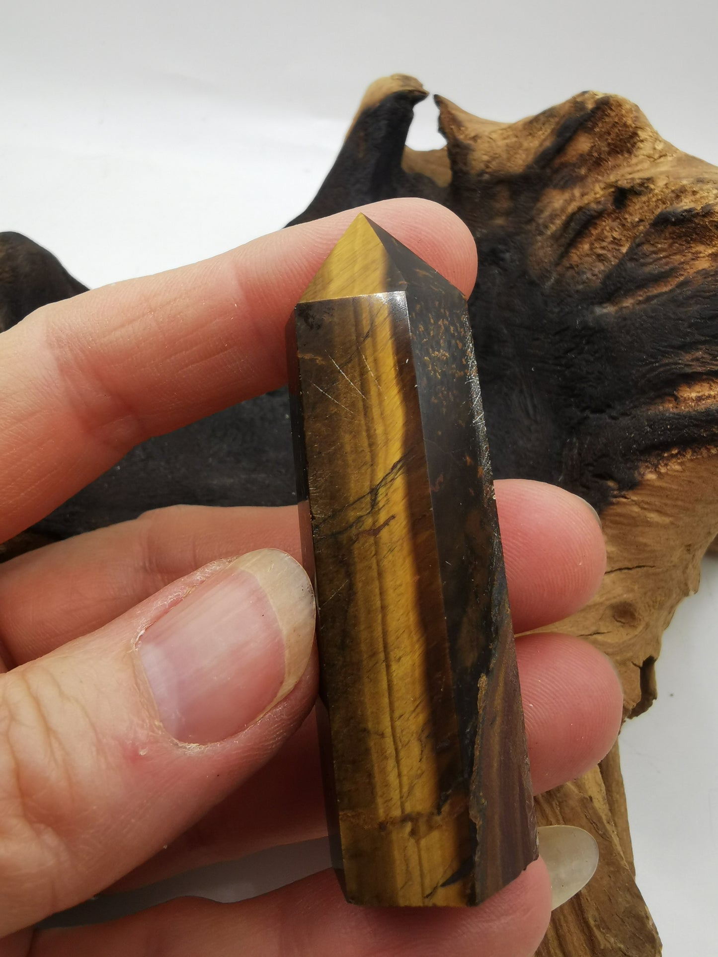 Tiger's Eye C Point