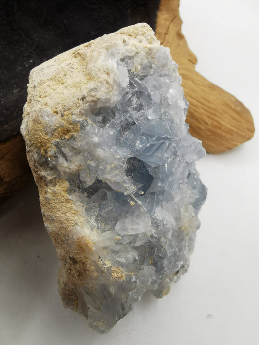 Celestine B