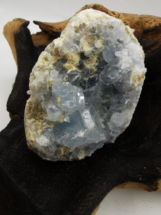 Celestine C