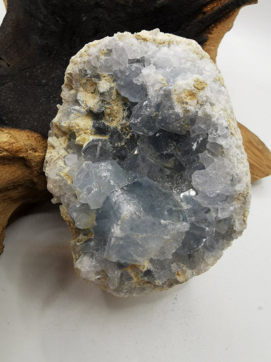 Celestine C