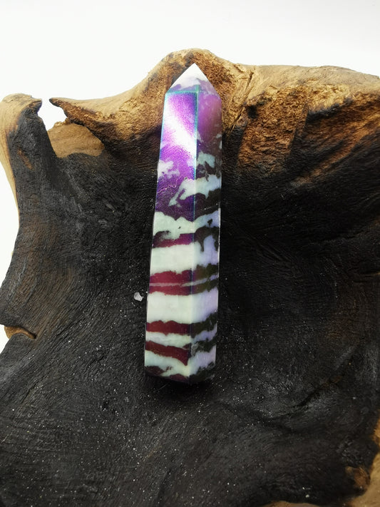Zebra Aura Point J