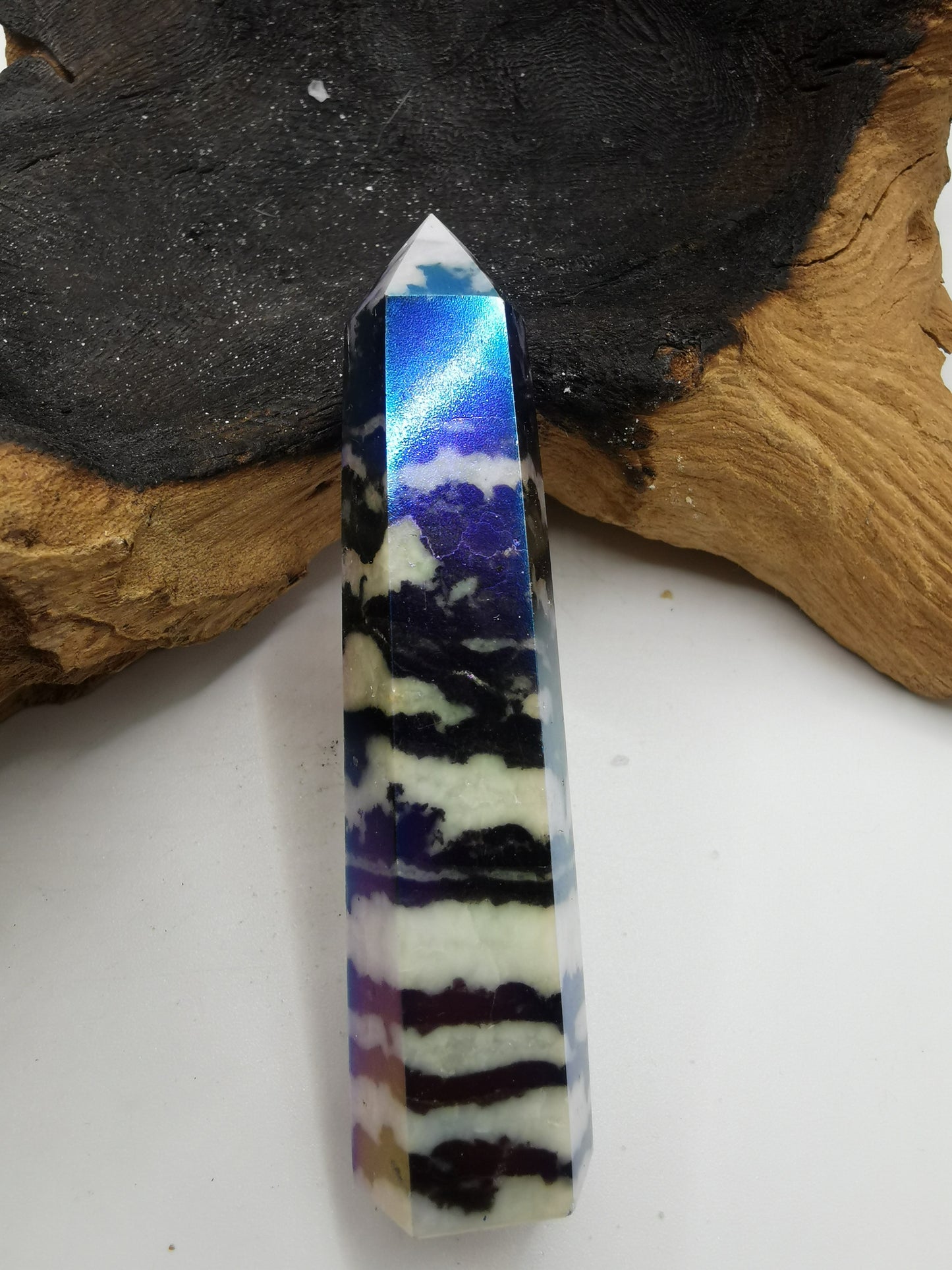Zebra Aura Point J