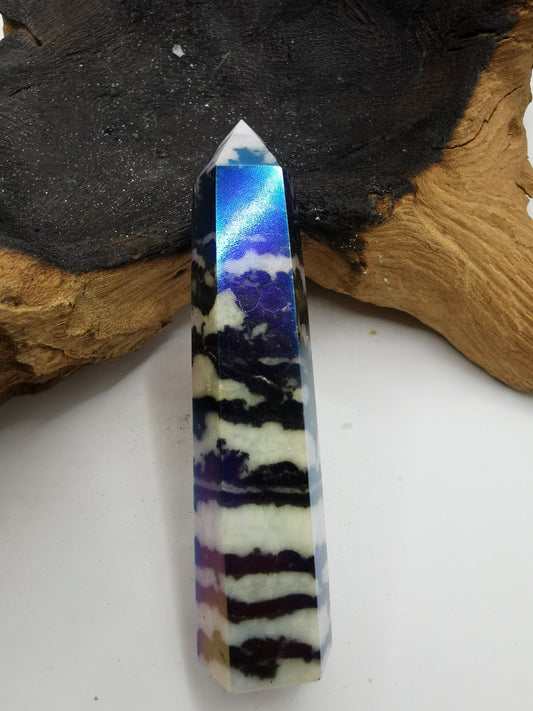 Zebra Aura Point J
