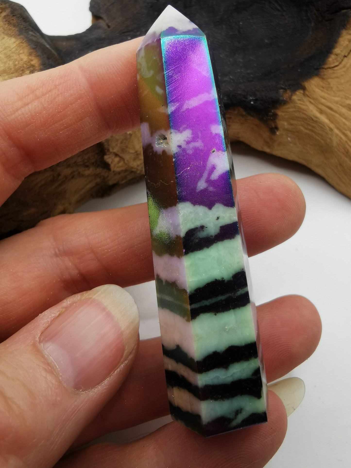 Zebra Aura Point J