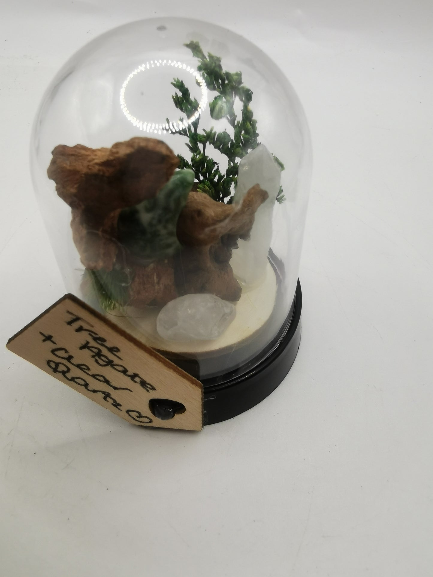 Tree Agate Moon & Clear Quartz Point Crystal Dome Terrarium