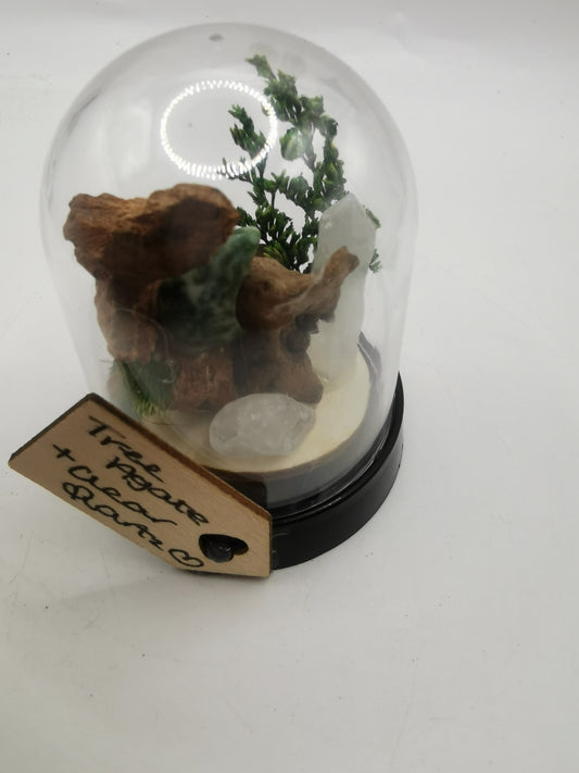 Tree Agate Moon & Clear Quartz Point Crystal Dome Terrarium