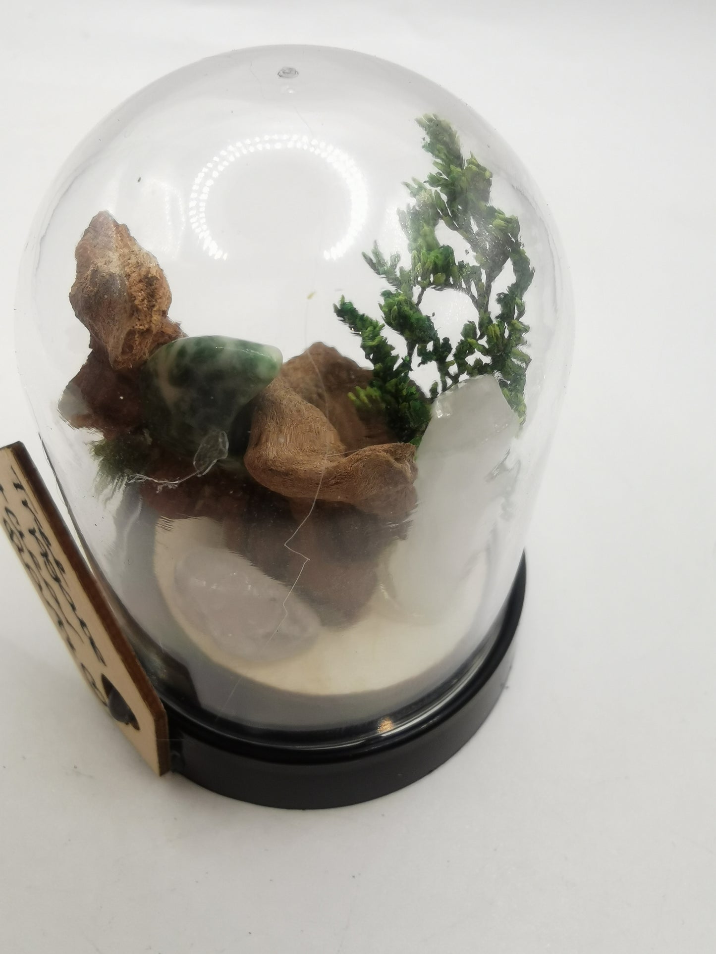Tree Agate Moon & Clear Quartz Point Crystal Dome Terrarium