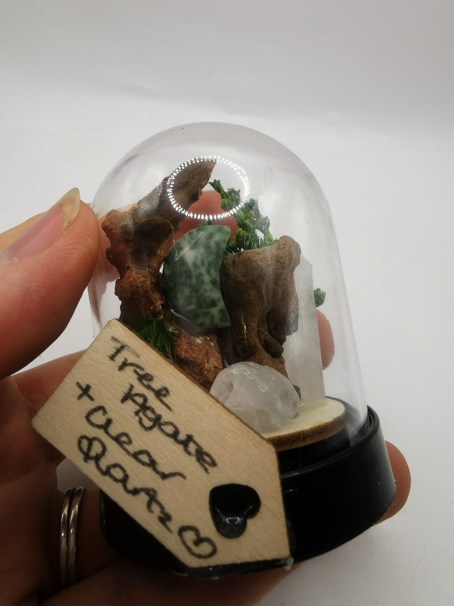 Tree Agate Moon & Clear Quartz Point Crystal Dome Terrarium