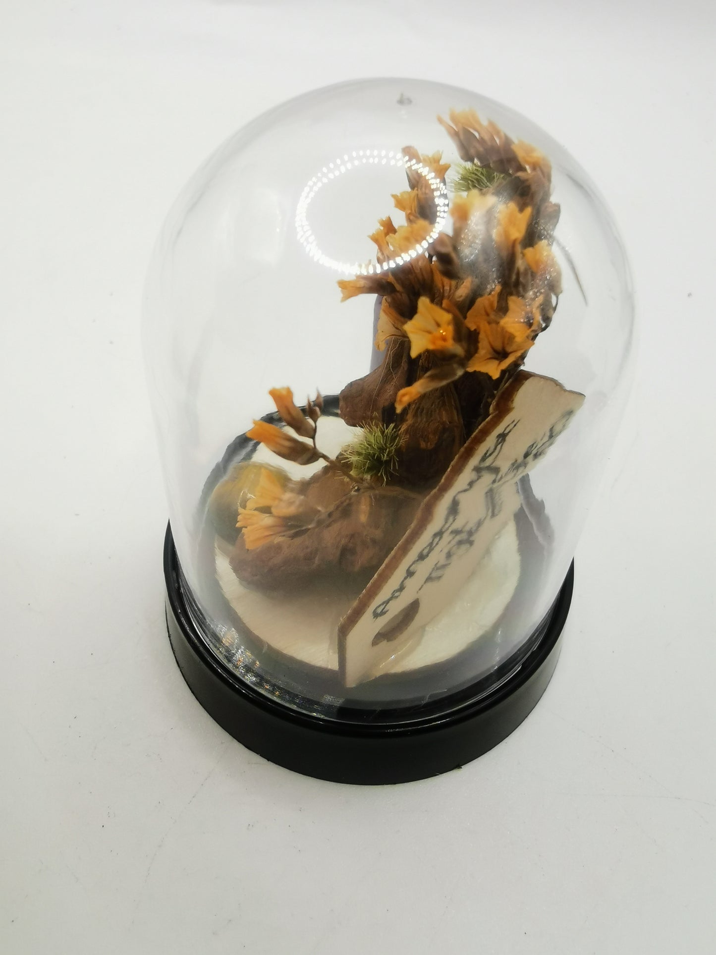 Amethyst Point & Tigers Eye Crystal Dome Terrarium